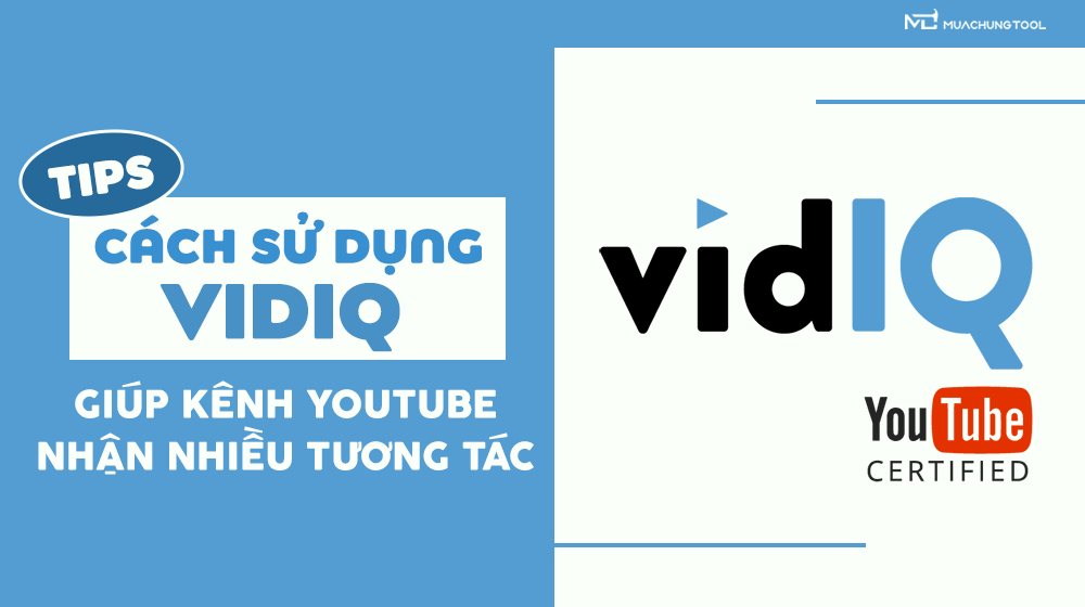 VidIQ Pro 1 tháng nâng chính chủ - Ảnh 4